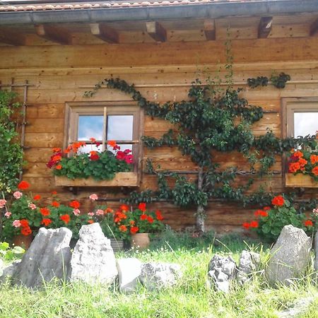 Wilder Kaiser Reit im Winkl Dış mekan fotoğraf