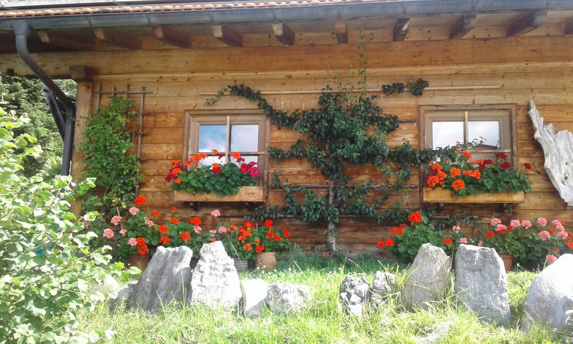 Wilder Kaiser Reit im Winkl Dış mekan fotoğraf
